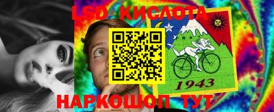 прущие крисы Славгород