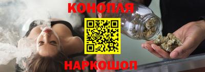 прущие крисы Славгород
