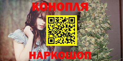 Альфа ПВП Сланцы