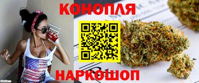 прущие крисы Славгород