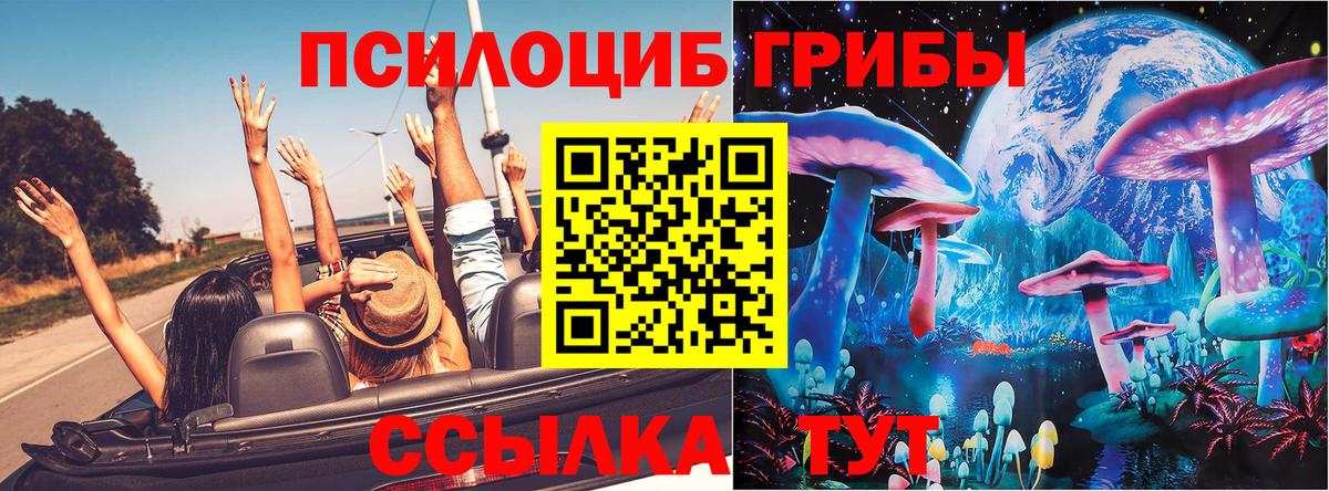Псилоцибиновые грибы ЛСД Новоалтайск