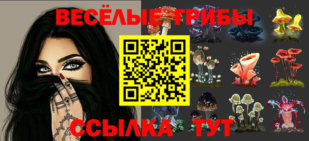Псилоцибиновые грибы Cubensis  Вход с VPN  Новоалтайск 